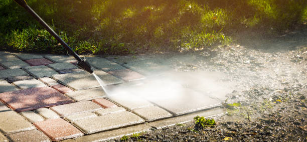 Animal Enclosure Cleaning in Midway, FL